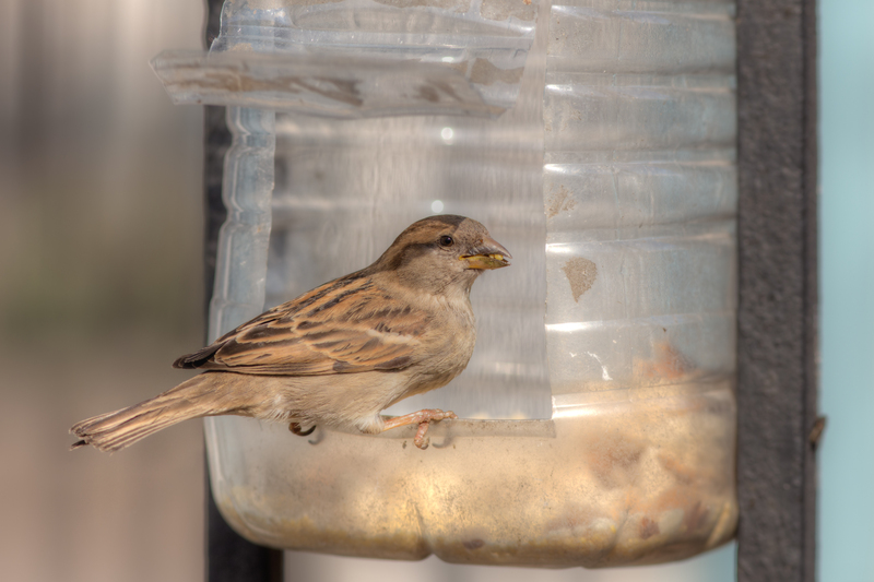 Affordable Bulky Waste Item Removal: What You Need to Know